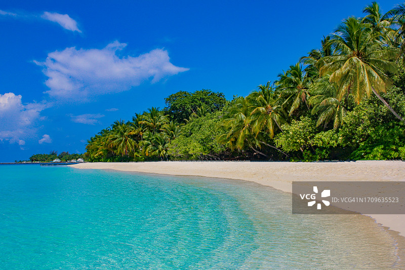 马尔代夫的热带天堂，拥有美丽的海滩图片素材