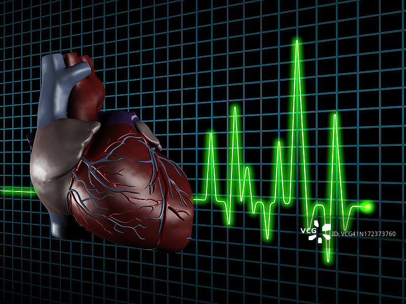 屏幕上显示人类心脏的心电图(ECG / EKG)图片素材