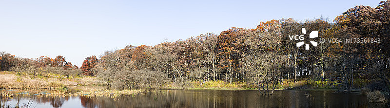秋天林地全景图片素材