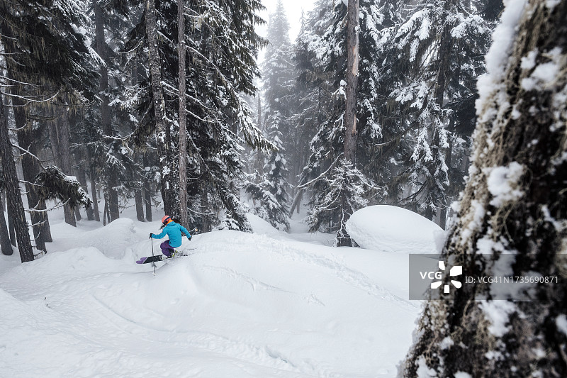 一名女子在滑雪度假时滑新鲜的雪粉图片素材