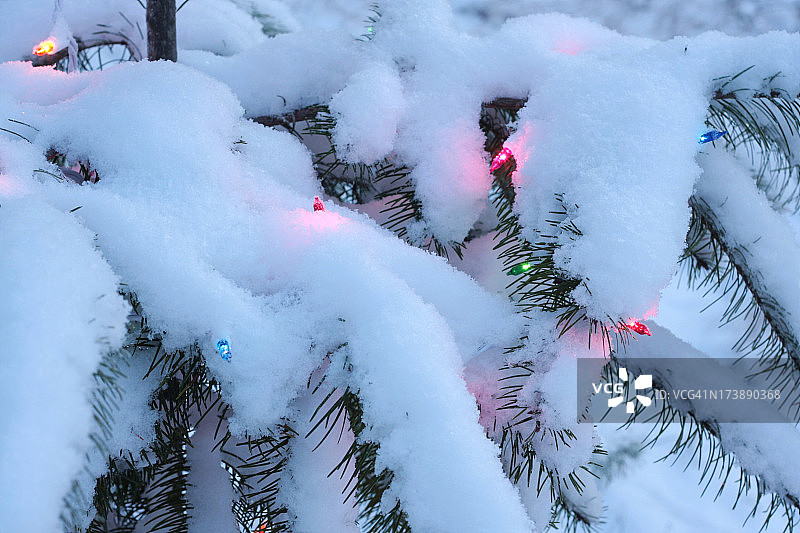雪中点亮的树图片素材