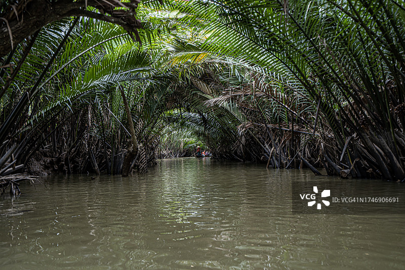 河边棕榈树的美景图片素材