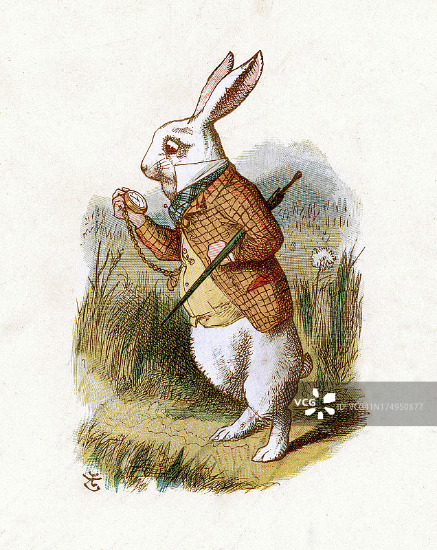 白兔-爱丽丝梦游仙境图片素材