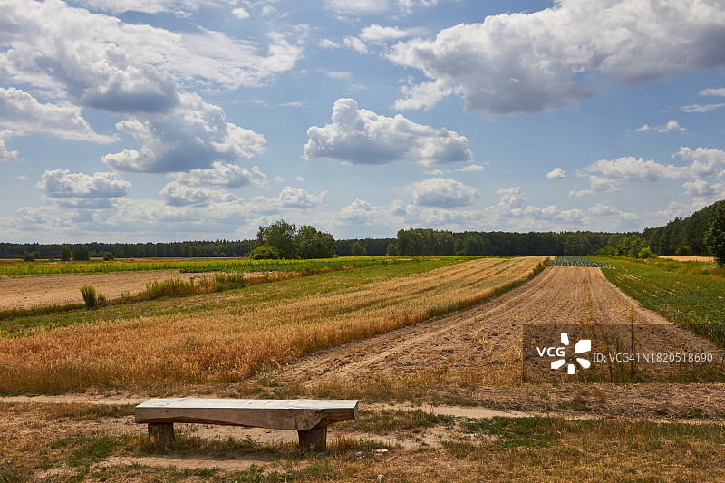 波兰华沙，天空映衬下的农田风景图片素材