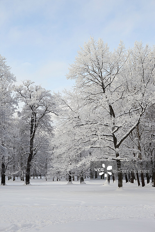 公园在冬天图片素材