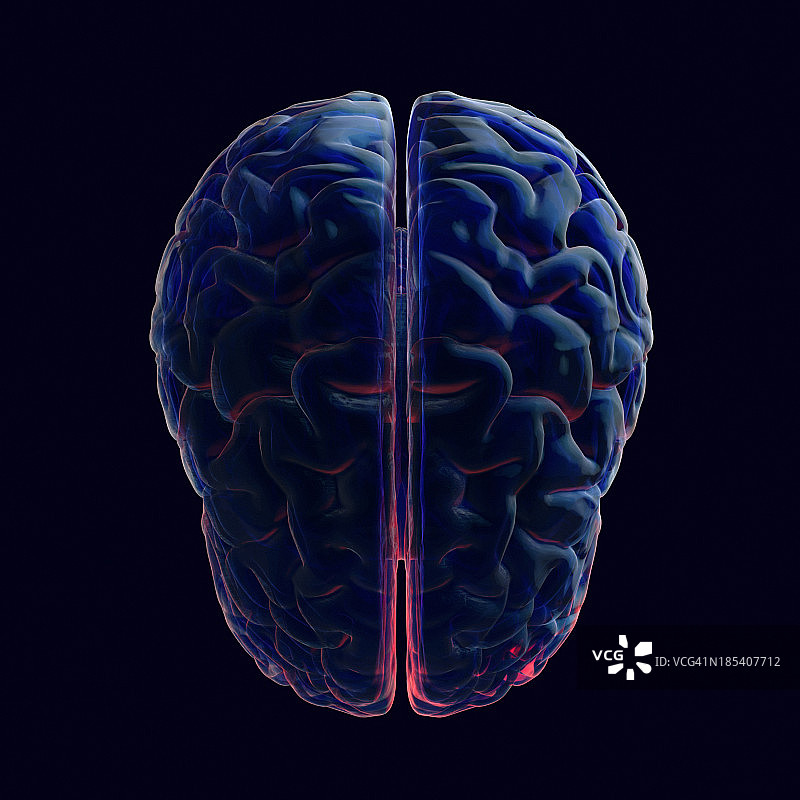 人类大脑x射线类型图片素材