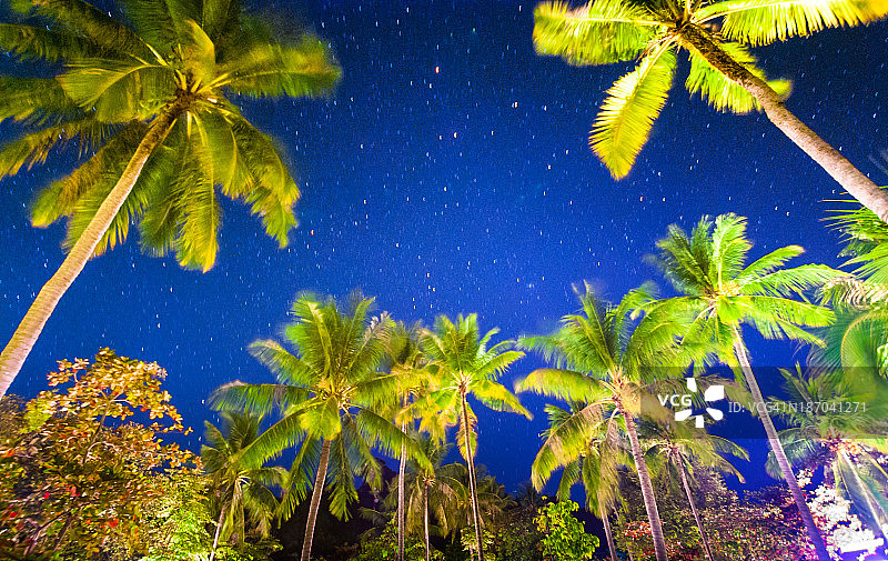 美丽的热带海滩上的星空图片素材