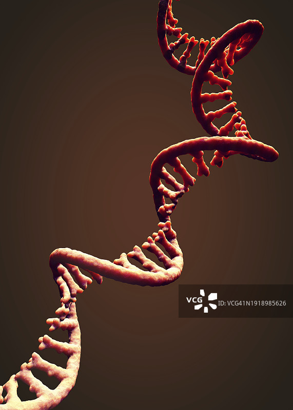 信使RNA链，图示图片素材