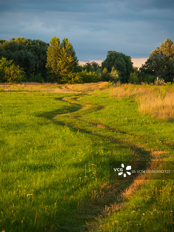 夏天的风景，蜿蜒的小径穿过绿色的草地图片素材