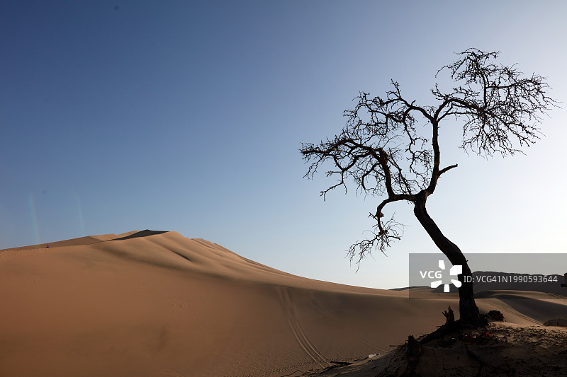 晴空映衬下的沙漠美景图片素材