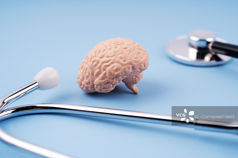 听诊器与人脑模型图片素材