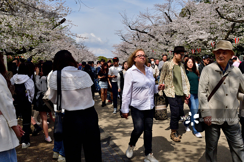 一大群人在东京上野公园观赏樱花图片素材