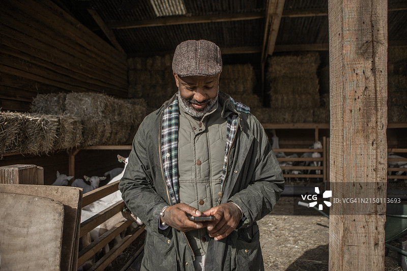 一个英俊的黑人山羊农夫正在经营他的小生意图片素材