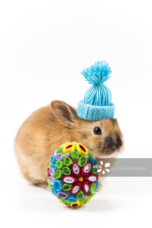 有趣的复活节兔子与蓝色的帽子在白色的背景孤立图片素材