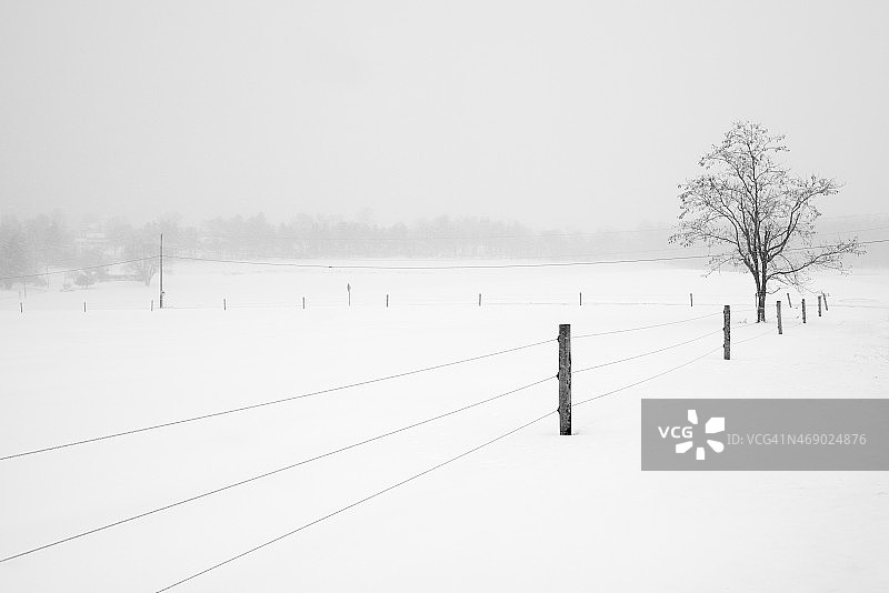 篱笆通向树在下雪天图片素材