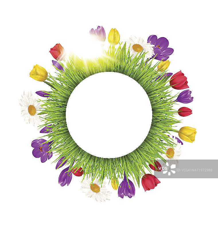 圆形框架，草花和阳光。植物的自然图片素材