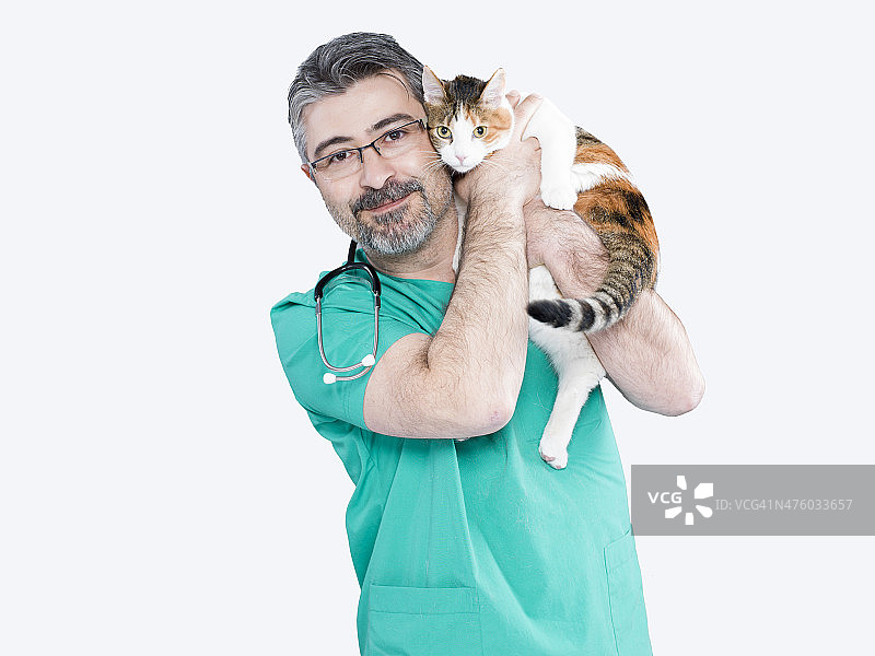 猫和兽医图片素材