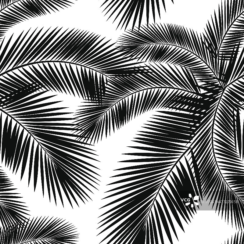 无缝彩色棕榈叶图案。平的风格。黑色和白色图片素材