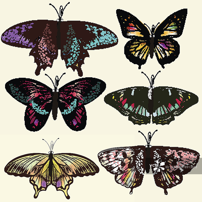 矢量现实蝴蝶的设计图片素材