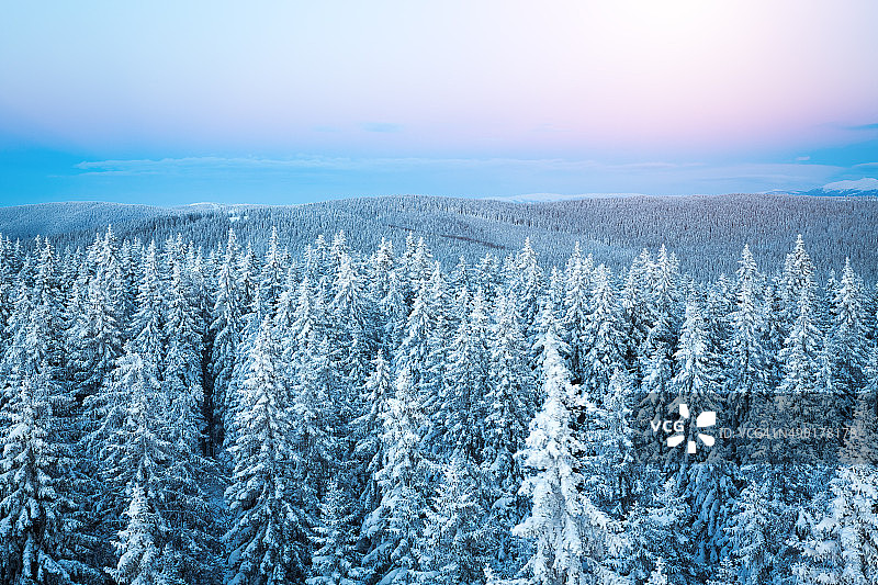 冬日森林的日出图片素材