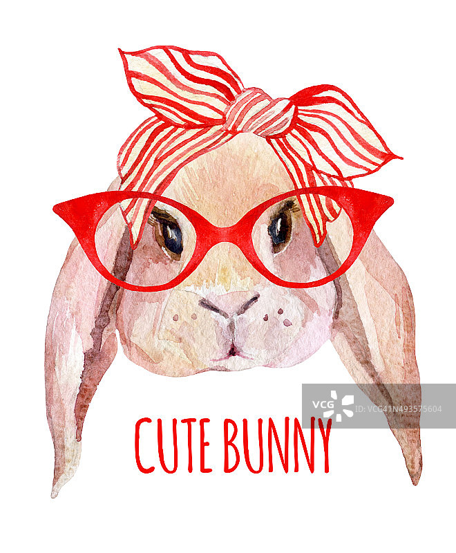 戴眼镜的兔头图片素材