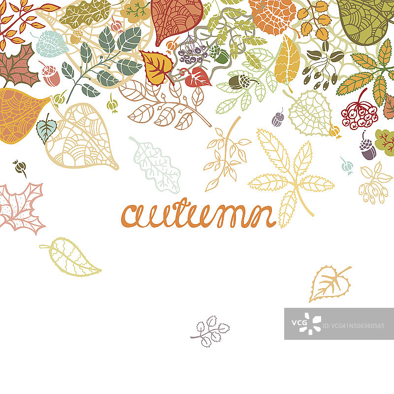 秋天的成分。树叶、树枝、浆果、橡子。向量图片素材