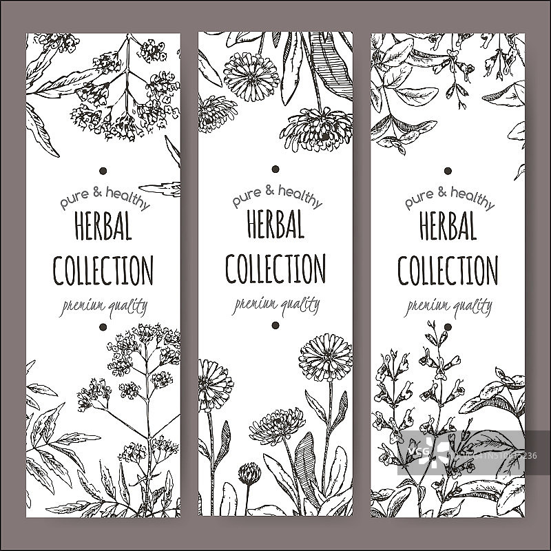 3媒介草药茶标签有缬草，金盏花和鼠尾草图片素材