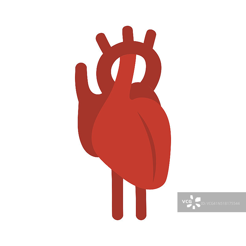 人类红心的象征。矢量插图。图片素材