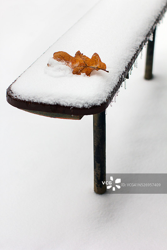 秋橡树叶躺在白雪覆盖的长凳上图片素材
