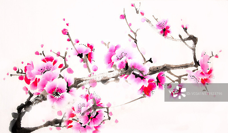 中国传统水墨樱桃画图片素材