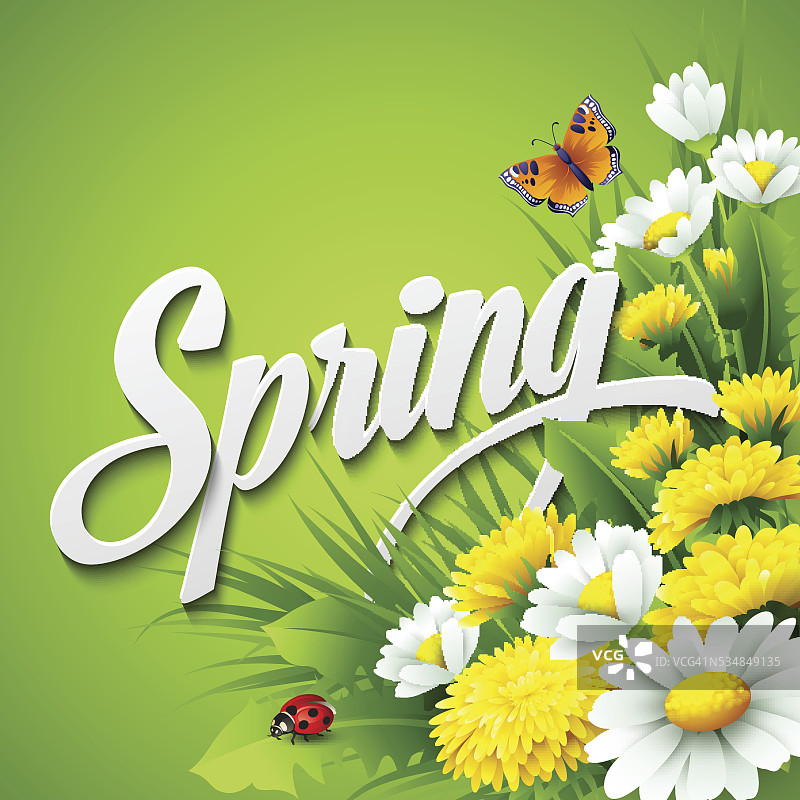 清新的春天背景草，蒲公英和雏菊图片素材