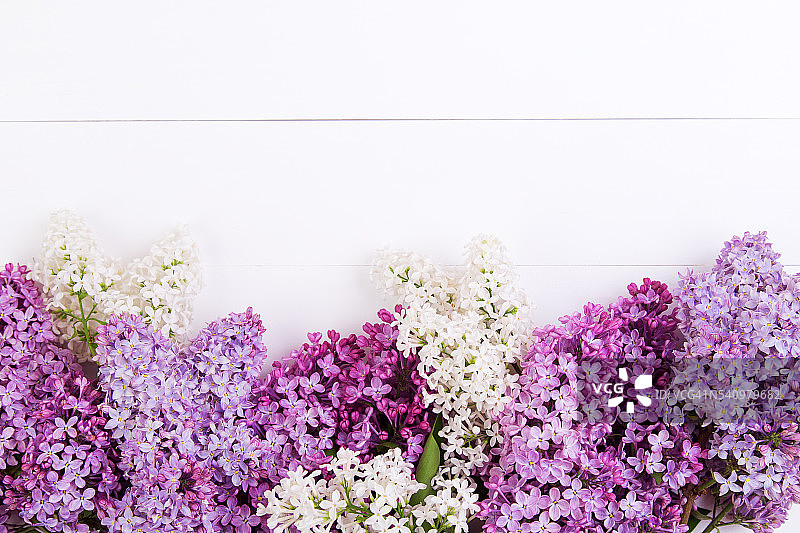 淡紫色的花图片素材