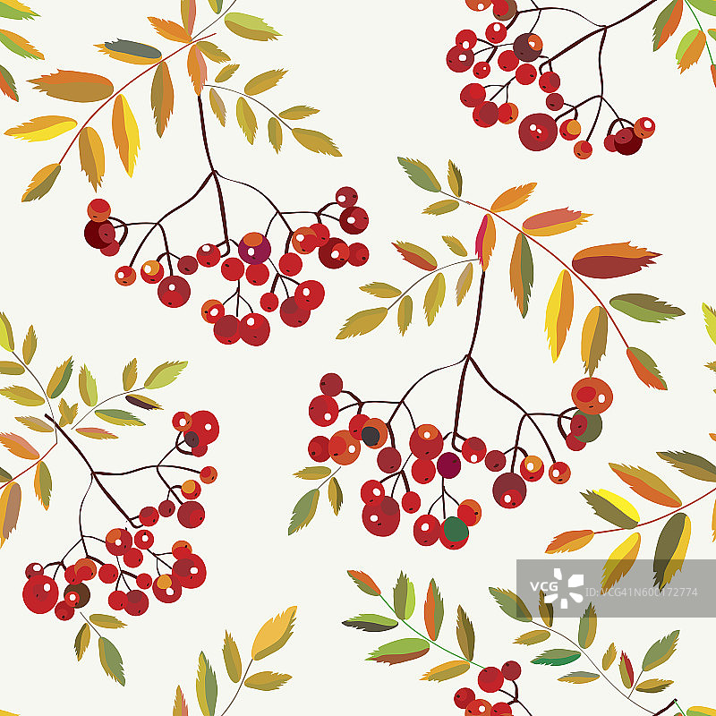 花梨花浆果无缝秋季图案图片素材