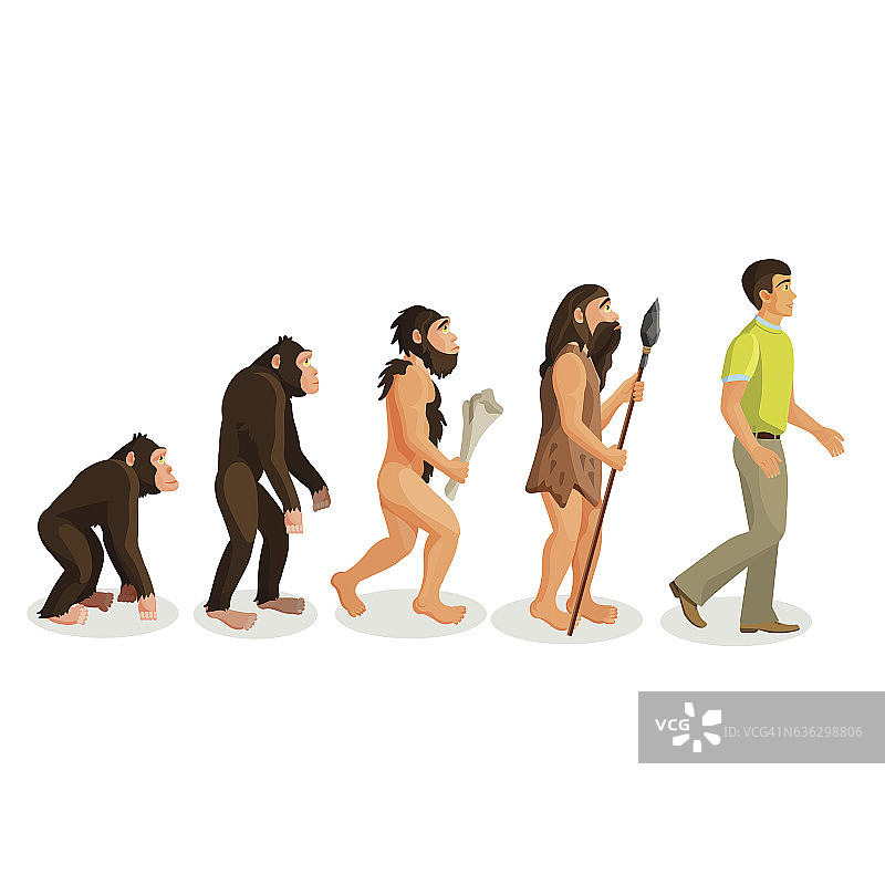 进化类人猿的过程和相关概念。图片素材