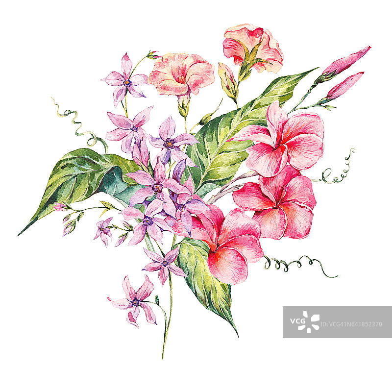 水彩复古热带花卉卡片图片素材