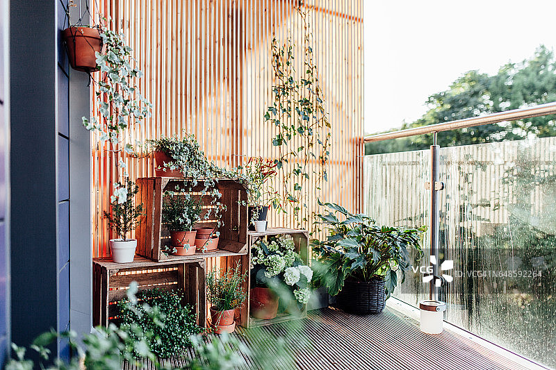 阳台室外植物图片素材