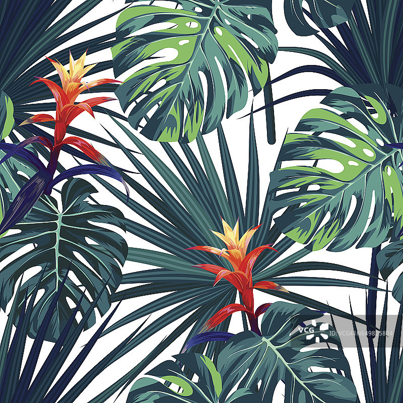 异国情调的热带背景与夏威夷植物和花卉。无缝矢量图案与绿色怪物和sabal棕榈叶，古兹马尼亚花图片素材