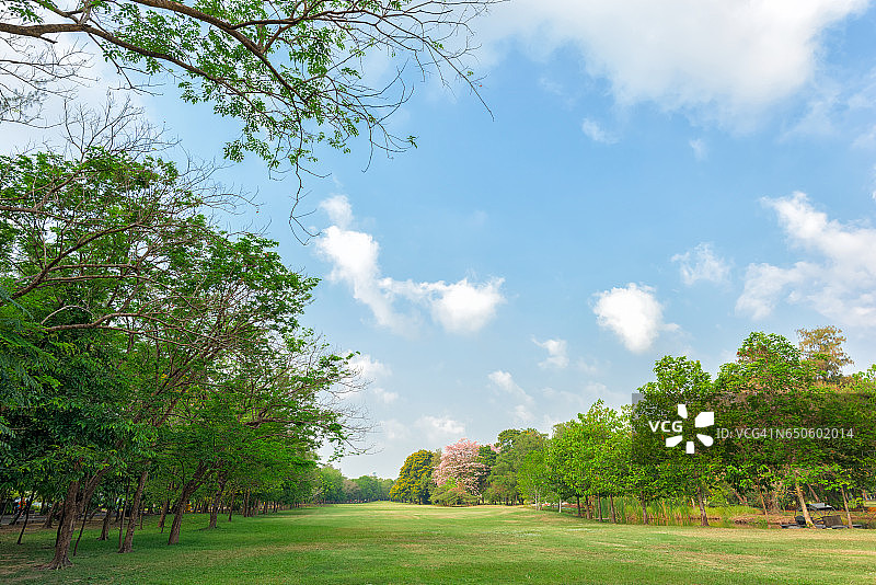 在城市中心的公园里有绿色的草地和蓝天图片素材