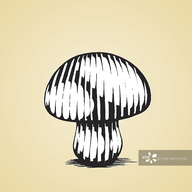 白色填充蘑菇的墨水素描图片素材