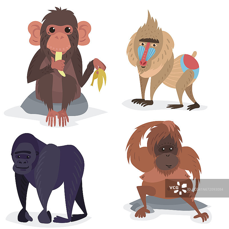 不同的面包猴子性格动物野生动物园猿黑猩猩矢量插图图片素材