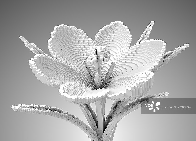 3D像素白花番红花图片素材
