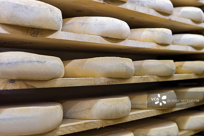 一堆陈年奶酪在成熟的窖藏弗朗西斯伯爵图片素材