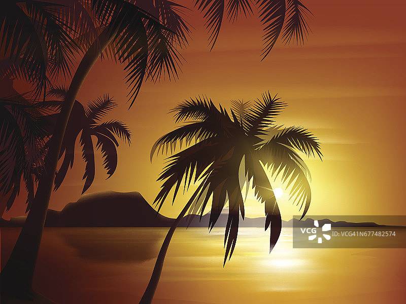 橙色热带日落图片素材