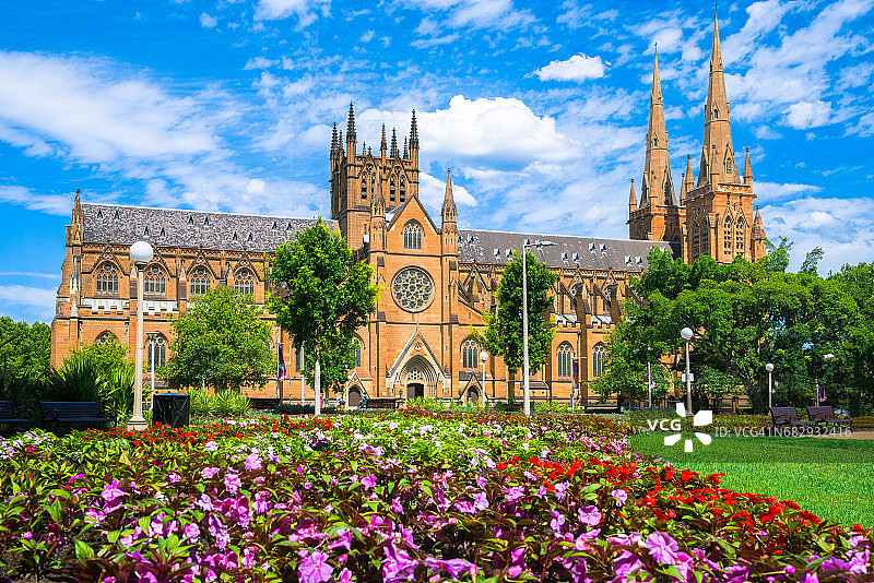 澳大利亚悉尼，前景中鲜花盛开的圣玛丽大教堂。图片素材