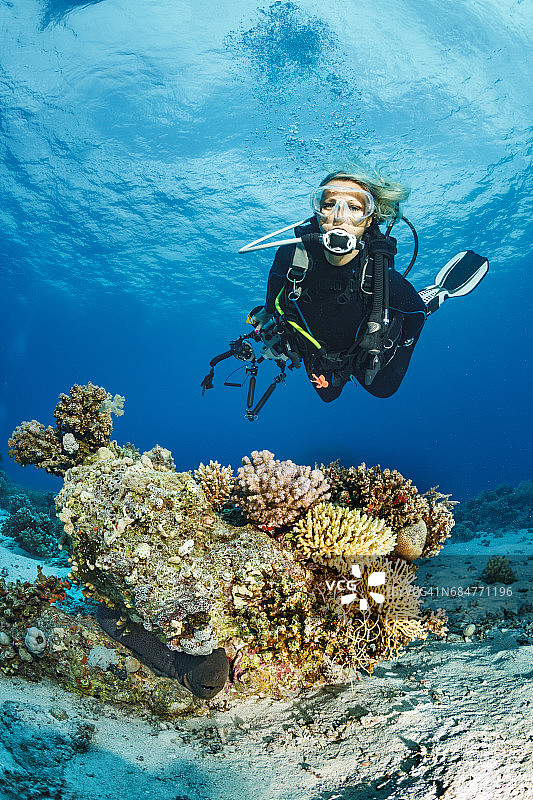 潜水者正在探索和享受珊瑚礁海洋生命运动女性水下摄影师图片素材