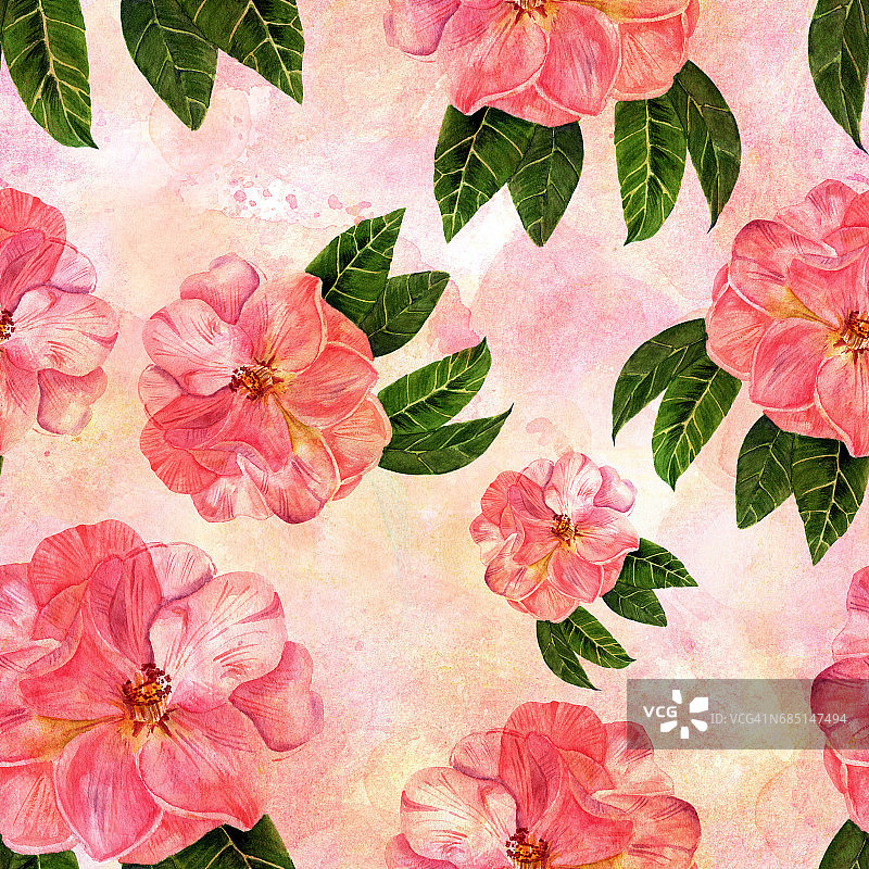 复古风格无缝图案与水彩茶花在粉红色图片素材