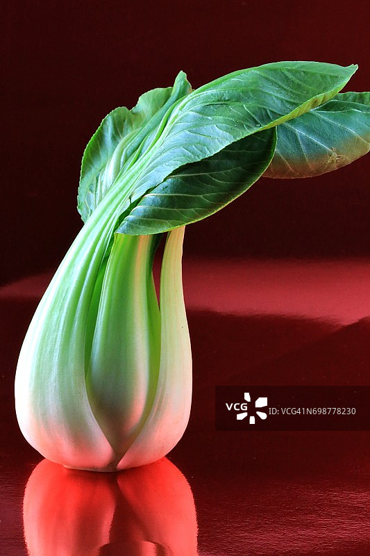 红色背景下的白菜(Brassica rapa subsp chinensis)图片素材
