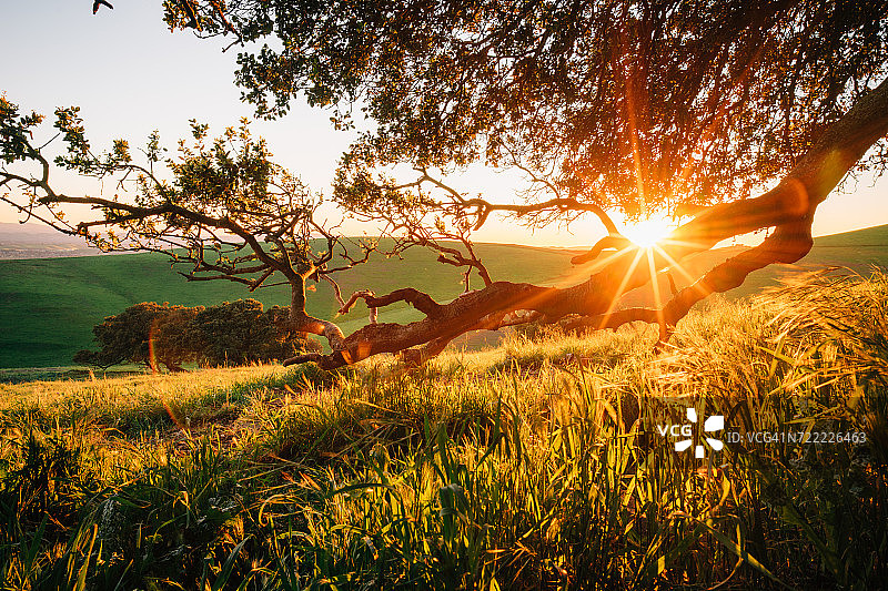 日落时的乡村景观，美国加州，美国图片素材