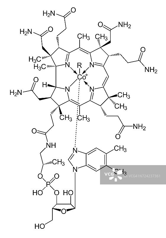 维生素B12钴胺素，骨骼配方图片素材
