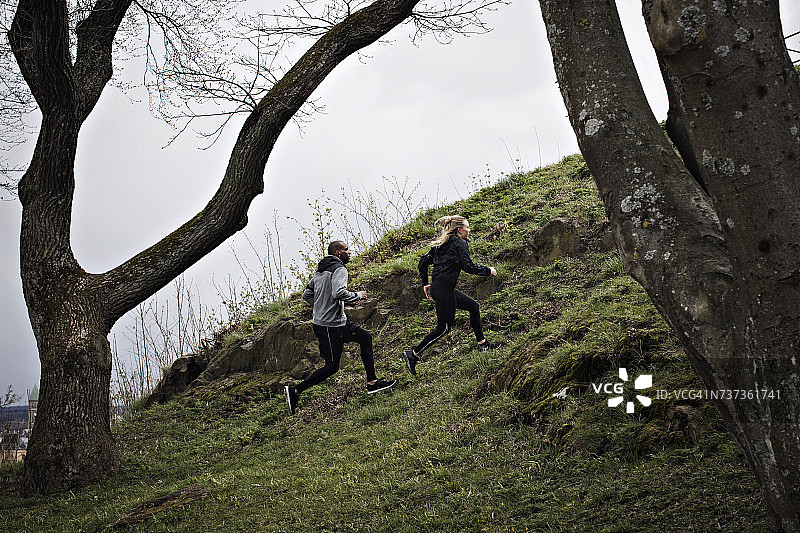 多民族夫妇全程慢跑在山上的森林图片素材